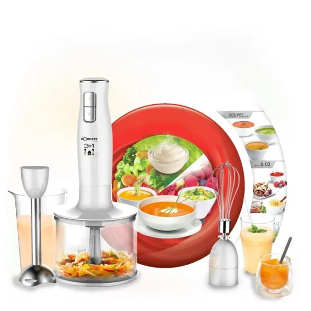 Mixeur plongeant ROBUSTE 3en1