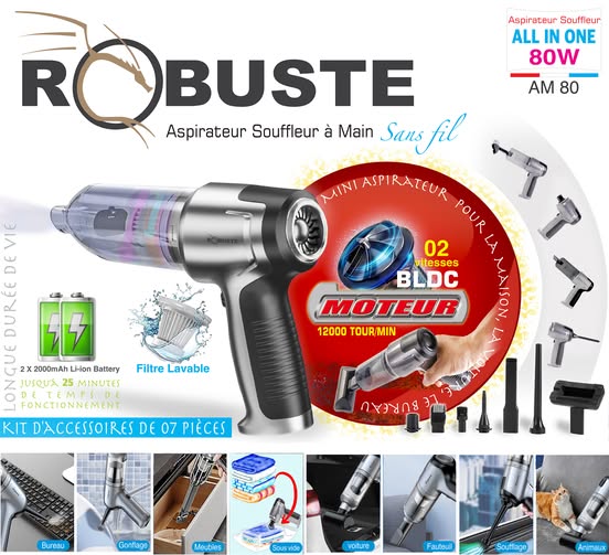Aspirateur Souffleur à Main Robuste