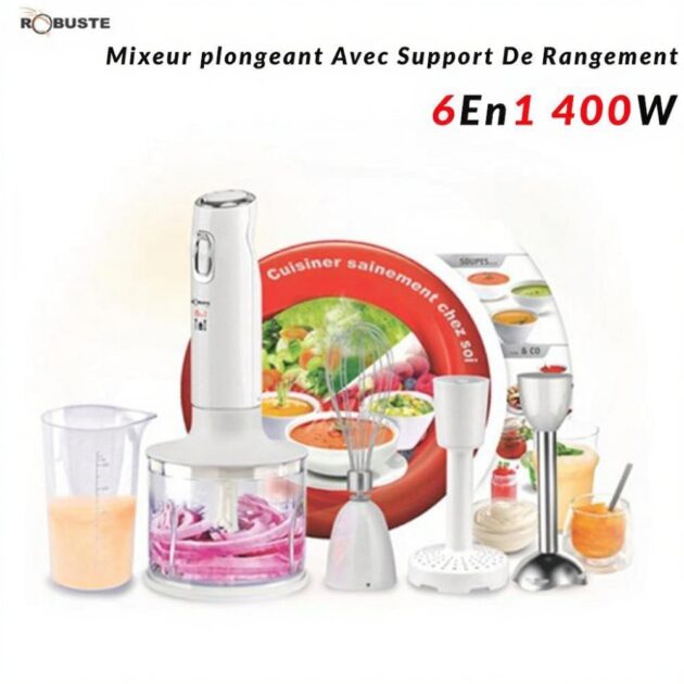 Mixeur plongeant  ROBUSTE 6EN1